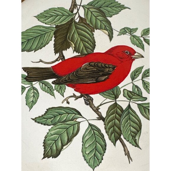 Hyalyn 1970s Scarlet Tanager Hanging Trivet with Cork Back 6" - Picture 2 of 5